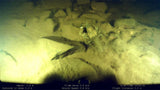 ROV Hire UK with Underwater GPS