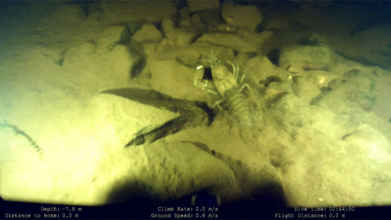 ROV Hire UK with Underwater GPS